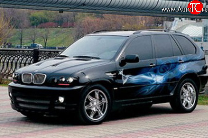 4 899 р. Комплект противотуманных фар в передний бампер Тарантул на BMW X5 E53 дорестайлинг (1999-2003)  с доставкой в г. Пермь