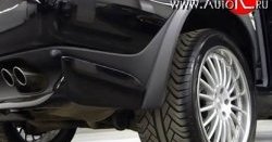 5 799 р. Арки крыльев Sport BMW X5 E53 дорестайлинг (1999-2003)  с доставкой в г. Пермь. Увеличить фотографию 4