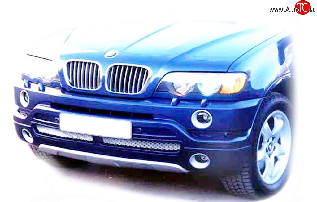 119 р. Накладка AS Concept на передний бампер BMW X5 E53 дорестайлинг (1999-2003) (Неокрашенная)  с доставкой в г. Пермь