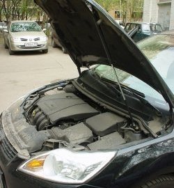 Упор капота Sport Ford Focus  2 (2007-2011) седан рестайлинг, универсал рестайлинг, хэтчбэк 3 дв. рестайлинг, хэтчбэк 5 дв. рестайлинг