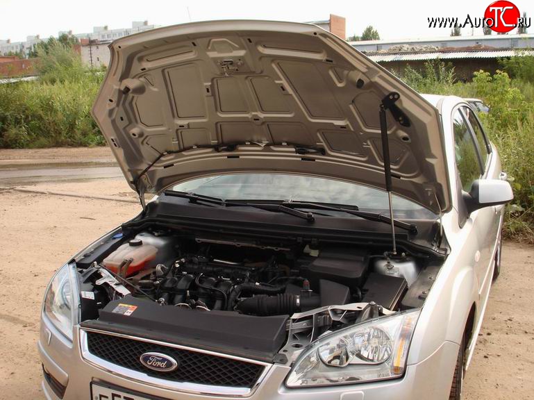 2 249 р. Упор капота Sport  Ford Focus  2 (2004-2008)  седан дорестайлинг, универсал дорестайлинг, хэтчбэк 3 дв. дорестайлинг, хэтчбэк 5 дв. дорестайлинг (Без кронштейна)  с доставкой в г. Пермь