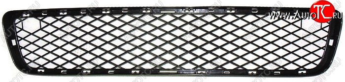 2 379 р. Решетка в передний бампер SAT BMW X5 E70 дорестайлинг (2006-2010) (Нижняя)  с доставкой в г. Пермь