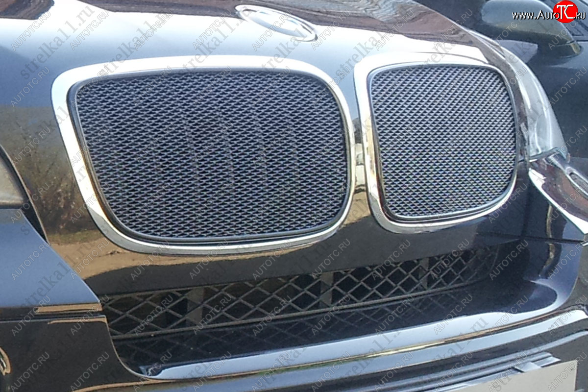 6 849 р. Защитная сетка решетки радиатора AUTOLEADER Премиум BMW X6 E71 дорестайлинг (2008-2012) (черная)  с доставкой в г. Пермь
