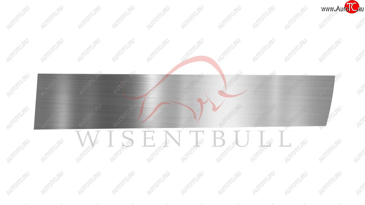 1 989 р. Ремкомплект правой двери Wisentbull  BMW X5  E70 (2006-2013) дорестайлинг, рестайлинг  с доставкой в г. Пермь