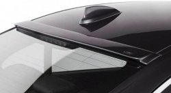 Козырёк на заднее стекло AC Schnitzer BMW 3 серия  F30 (2012-2018) седан дорестайлинг, седан рестайлинг