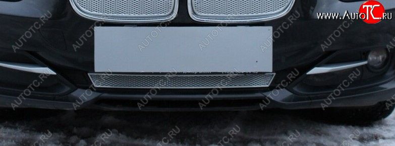 3 899 р. Защитная сетка радиатора в бампер Стрелка 11 Премиум (алюминий)  BMW 3 серия ( F30,  F31) (2012-2015) седан дорестайлинг, универсал дорестайлинг (Цвет: хром)  с доставкой в г. Пермь
