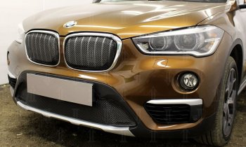 Защитная сетка радиатора в бампер Стрелка 11 Премиум (алюминий) BMW X1  F48 (2015-2019) дорестайлинг (Цвет: черный)