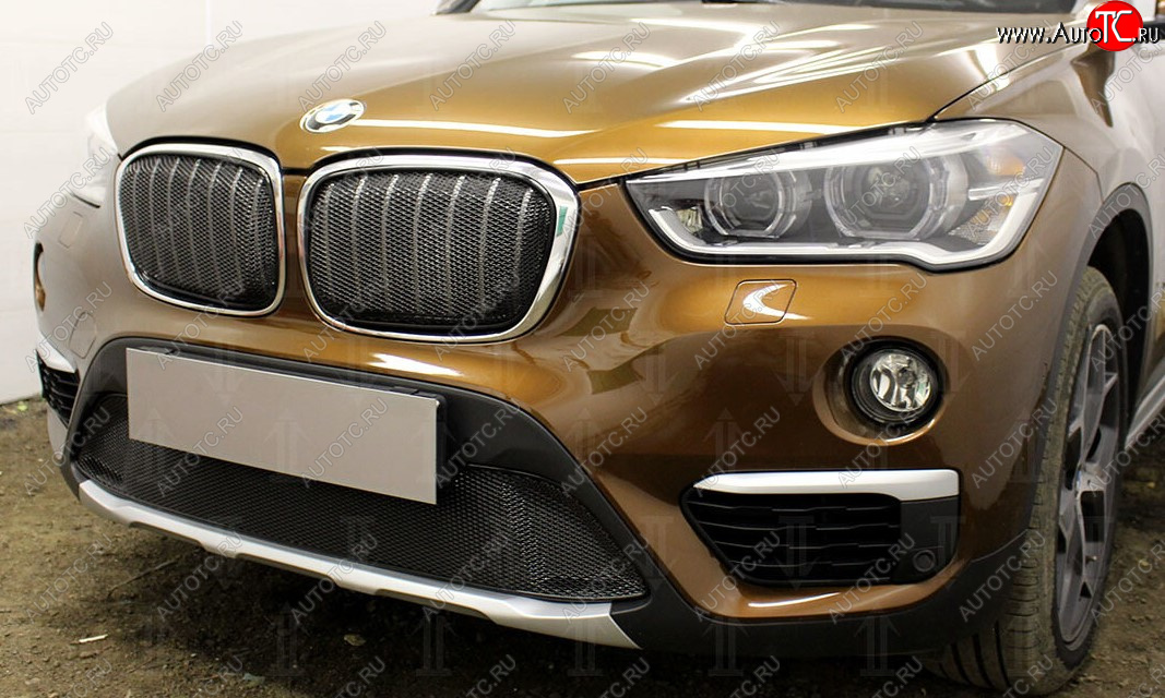 5 399 р. Защитная сетка радиатора в бампер Стрелка 11 Премиум (алюминий)  BMW X1  F48 (2015-2019) дорестайлинг (Цвет: черный)  с доставкой в г. Пермь