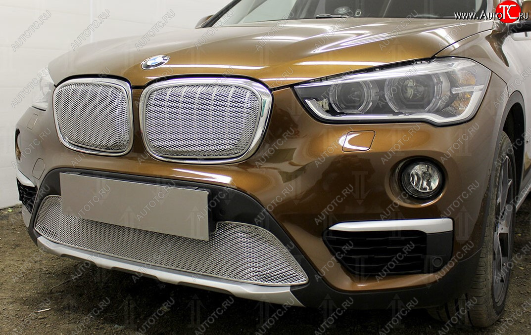 5 849 р. Защитная сетка радиатора в бампер Стрелка 11 Премиум (алюминий)  BMW X1  F48 (2015-2019) дорестайлинг (Цвет: хром)  с доставкой в г. Пермь