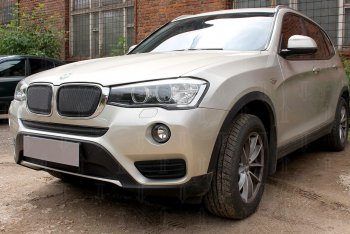 6 749 р. Защитная сетка решетки радиатора Стрелка 11 Премиум (алюминий)  BMW X3  F25 (2014-2017) рестайлинг (Цвет: черный)  с доставкой в г. Пермь. Увеличить фотографию 2