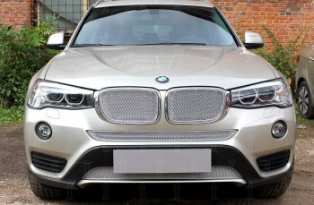 6 849 р. Защитная сетка решетки радиатора Стрелка 11 Премиум (алюминий)  BMW X3  F25 (2014-2017) рестайлинг (Цвет: хром)  с доставкой в г. Пермь. Увеличить фотографию 2
