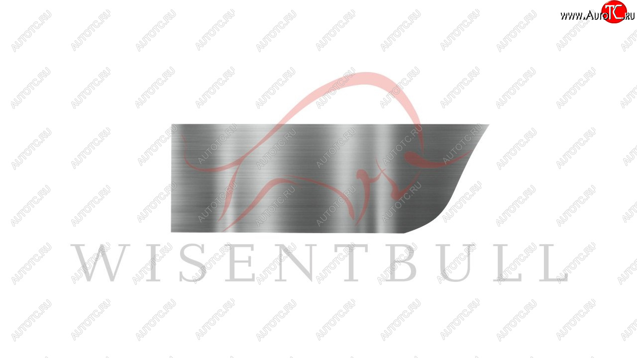 1 989 р. Ремкомплект правой двери Wisentbull  Chevrolet Aveo  T200 (2003-2008), Chevrolet Kalos (2002-2008), Pontiac Wave  T200 (2004-2006)  с доставкой в г. Пермь