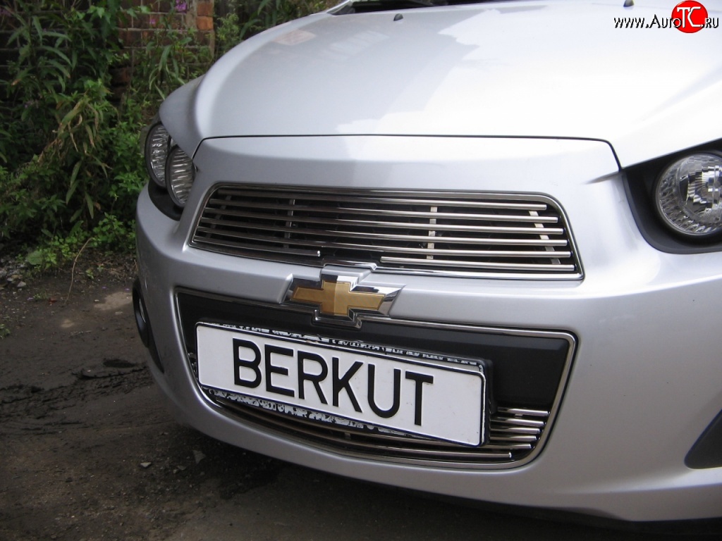 4 399 р. Декоративная вставка решетки радиатора Berkut Chevrolet Aveo T300 седан (2011-2015)  с доставкой в г. Пермь