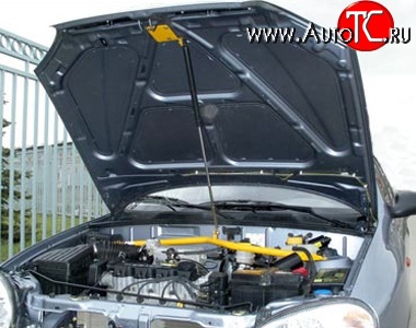 2 249 р. Упор капота Sport Chevrolet Lanos T100 седан (2002-2017)  с доставкой в г. Пермь