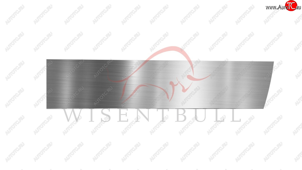 1 989 р. Ремкомплект правой двери Wisentbull Opel Astra G седан (1998-2005)  с доставкой в г. Пермь