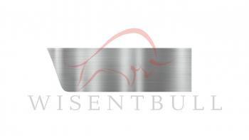 Ремкомплект правой двери Wisentbull Chevrolet Viva (2005-2008), Opel Astra  G (1998-2005)