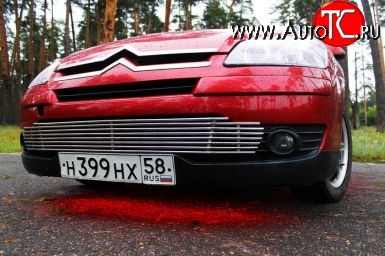7 199 р. Декоративная вставка воздухозаборника Berkut CITROEN C4  дорестайлинг, хэтчбэк 5 дв. (2004-2008)  с доставкой в г. Пермь
