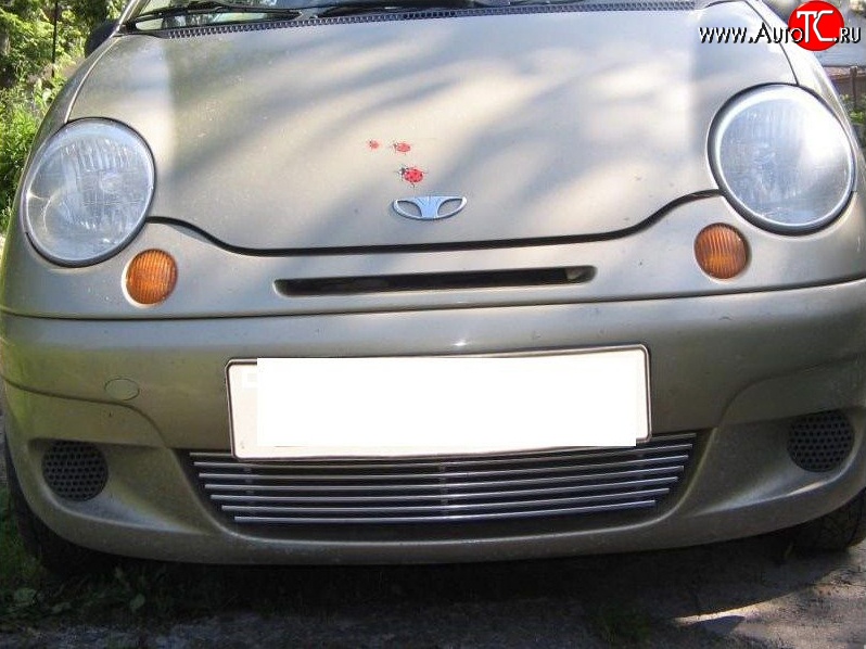 4 099 р. Декоративная вставка воздухозаборника (рестайлинг) Berkut Daewoo Matiz M150 рестайлинг (2000-2016)  с доставкой в г. Пермь