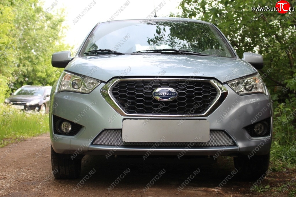 1 539 р. Защитная сетка на бампер Russtal (хром) Datsun mi-DO хэтчбэк (2014-2021)  с доставкой в г. Пермь
