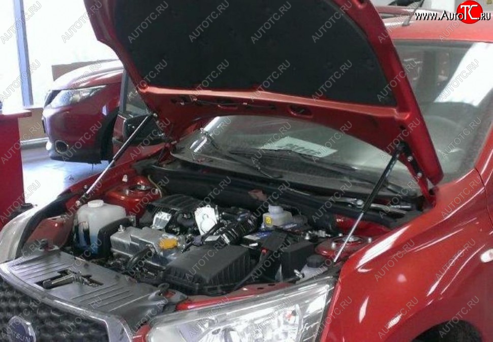 2 199 р. Газовые упоры капота Berkut Datsun mi-DO хэтчбэк (2014-2021)  с доставкой в г. Пермь