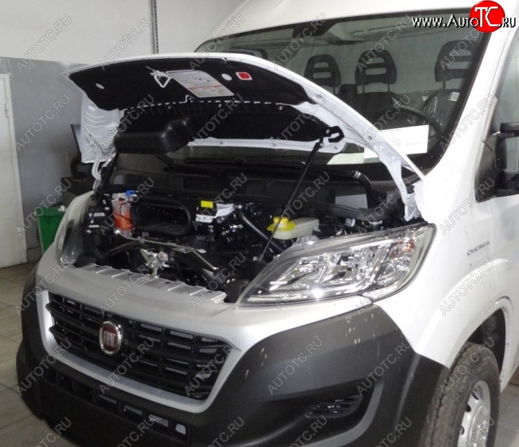 3 999 р. Амортизаторы капота Autofamily  Fiat Ducato  290 (2014-2025)  с доставкой в г. Пермь
