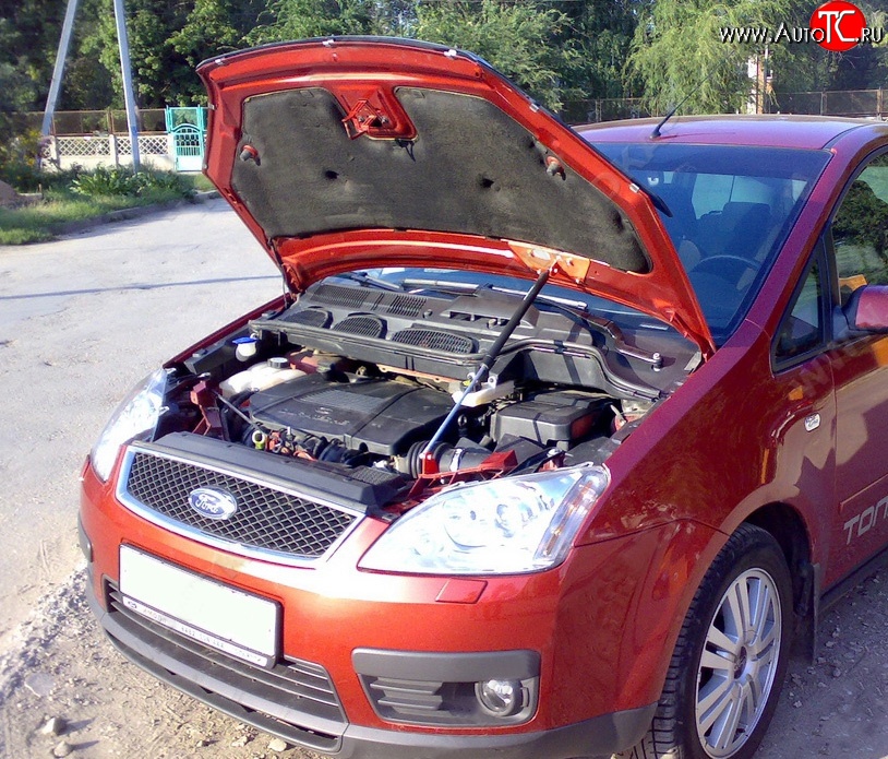 2 969 р. Упор капота Sport Ford C-max Mk1 рестайлинг (2007-2010)  с доставкой в г. Пермь
