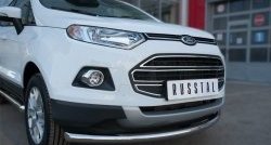 15 649 р. Одинарная защита переднего бампера диаметром 63 мм SLITKOFF Ford EcoSport дорестайлинг (2013-2019)  с доставкой в г. Пермь. Увеличить фотографию 3