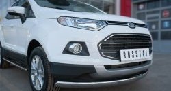13 749 р. Защита переднего бампера (Ø75х42 мм, нержавейка) Russtal Ford EcoSport дорестайлинг (2013-2019)  с доставкой в г. Пермь. Увеличить фотографию 2