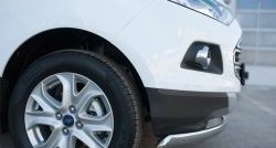 13 749 р. Защита переднего бампера (Ø75х42 мм, нержавейка) Russtal Ford EcoSport дорестайлинг (2013-2019)  с доставкой в г. Пермь. Увеличить фотографию 3