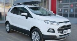 13 749 р. Защита переднего бампера (Ø75х42 мм, нержавейка) Russtal Ford EcoSport дорестайлинг (2013-2019)  с доставкой в г. Пермь. Увеличить фотографию 4