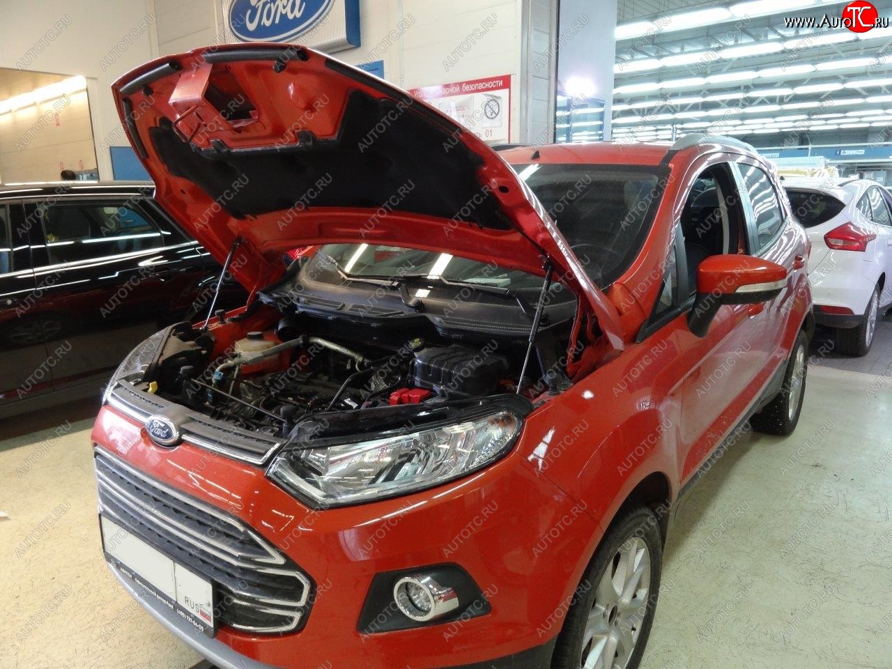 2 299 р. Упоры капота Russtal Ford EcoSport дорестайлинг (2013-2019)  с доставкой в г. Пермь