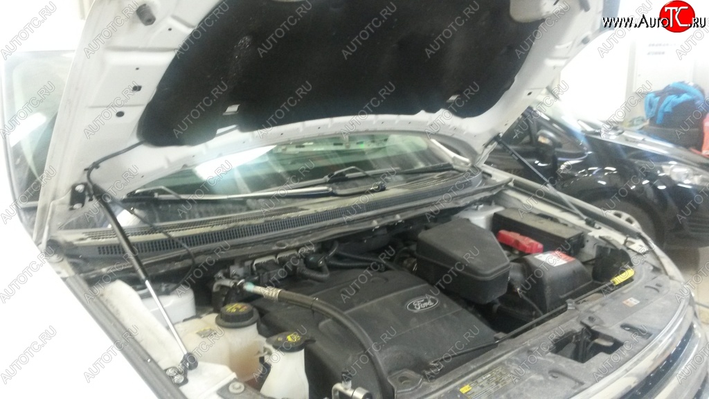 2 199 р. Газовые упоры капота (рестайлинг) Berkut Ford Edge U387 дорестайлинг (2006-2010)  с доставкой в г. Пермь