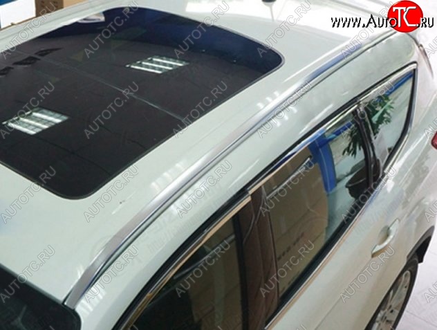 32 399 р. Рейлинги CT v1 Ford Edge U387 дорестайлинг (2006-2010)  с доставкой в г. Пермь