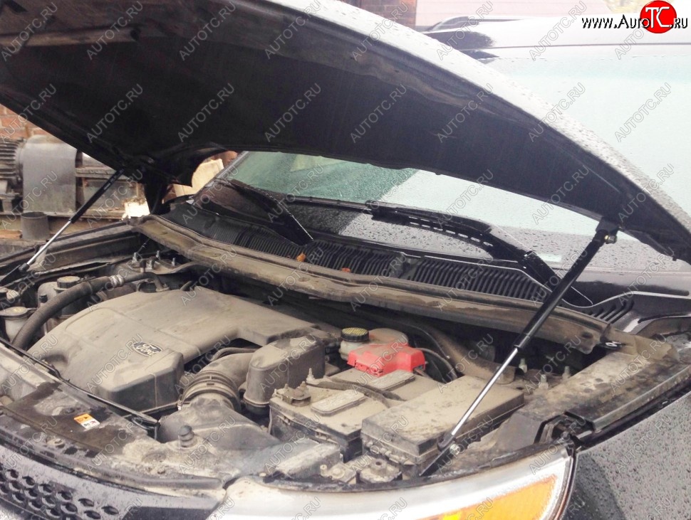 2 199 р. Газовые упоры капота Berkut Ford Explorer U502 дорестайлинг (2010-2016)  с доставкой в г. Пермь