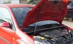 Упор капота Sport Ford Fiesta  5 (2001-2008) хэтчбэк 5 дв. дорестайлинг, хэтчбэк 5 дв. рестайлинг (с кронштейном)