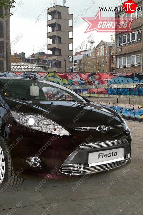 5 399 р. Декоративные элементы воздухозаборников Souz-96 (d8) Ford Fiesta 6 хэтчбэк 5 дв. дорестайлинг (2008-2012)  с доставкой в г. Пермь