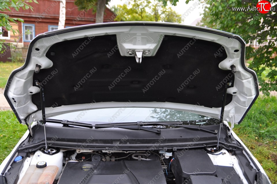 2 199 р. Газовые упоры капота Berkut Ford Focus 2 хэтчбэк 3 дв. рестайлинг (2007-2011)  с доставкой в г. Пермь