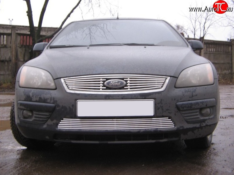 5 399 р. Декоративная вставка воздухозаборника Berkut Ford Focus 2 хэтчбэк 3 дв. дорестайлинг (2004-2007)  с доставкой в г. Пермь