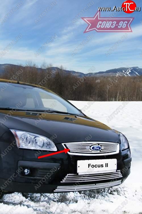 3 824 р. Декоративный элемент решетки радиатора Souz-96 (d10)  Ford Focus  2 (2004-2008)  седан дорестайлинг, универсал дорестайлинг, хэтчбэк 3 дв. дорестайлинг, хэтчбэк 5 дв. дорестайлинг  с доставкой в г. Пермь