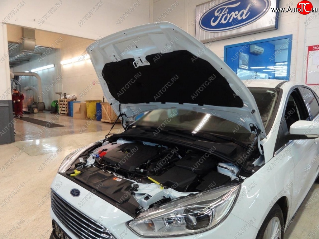 2 199 р. Газовые упоры капота Berkut Ford Focus 3 универсал дорестайлинг (2010-2015)  с доставкой в г. Пермь