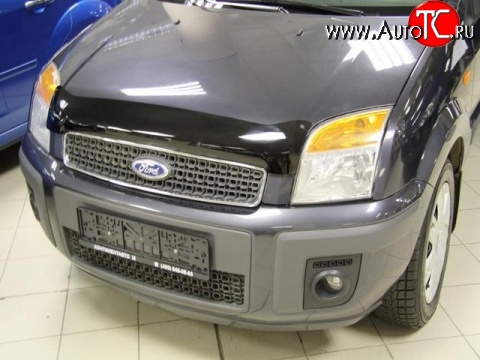 2 599 р. Дефлектор капота NovLine . Ford Fusion 1 хэтчбэк дорестайлинг (2002-2005)  с доставкой в г. Пермь