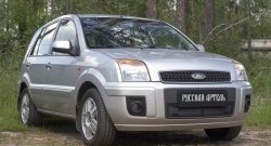 1 899 р. Защитная сетка решетки переднего бампера РА Ford Fusion 1  рестайлинг, хэтчбэк (2005-2012)  с доставкой в г. Пермь. Увеличить фотографию 2