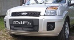 1 899 р. Защитная сетка решетки переднего бампера РА Ford Fusion 1  рестайлинг, хэтчбэк (2005-2012)  с доставкой в г. Пермь. Увеличить фотографию 3