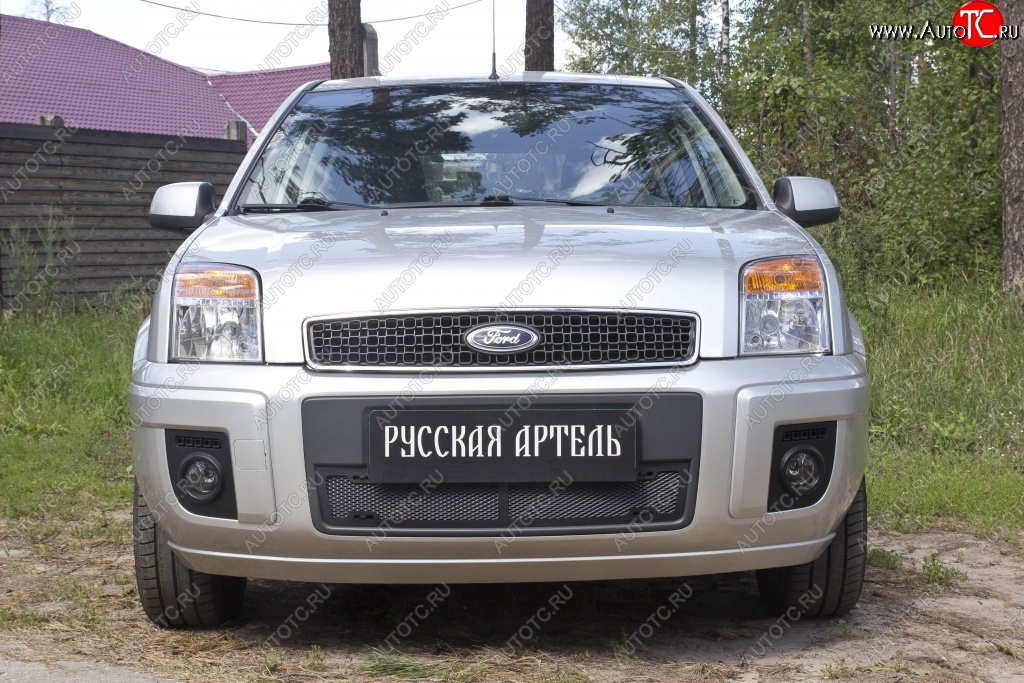 1 899 р. Защитная сетка решетки переднего бампера РА Ford Fusion 1  рестайлинг, хэтчбэк (2005-2012)  с доставкой в г. Пермь