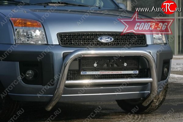10 979 р. Защита переднего бампера Souz-96 (d60) Ford Fusion 1  рестайлинг, хэтчбэк (2005-2012)  с доставкой в г. Пермь