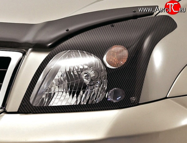 1 268 р. Карбоновая защита передних фар Novline Ford Fusion 1 хэтчбэк дорестайлинг (2002-2005)  с доставкой в г. Пермь