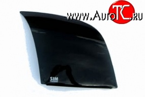 1 268 р. Темная защита передних фар Novline Ford Fusion 1 хэтчбэк дорестайлинг (2002-2005)  с доставкой в г. Пермь