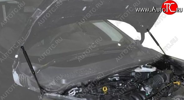 2 199 р. Газовые упоры капота Berkut Ford Kuga 2 рестайлинг (2016-2019)  с доставкой в г. Пермь