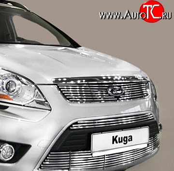 5 799 р. Декоративная вставка решетки радиатора Berkut Ford Kuga 1 (2008-2013)  с доставкой в г. Пермь