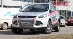 Декоративный элемент воздухозаборника Souz-96 (d10) Ford Kuga  2 (2013-2016) дорестайлинг